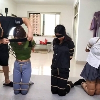 新月原创，你们三个很有意思！